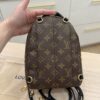Louis Vuitton Monogram Palm Springs Mini