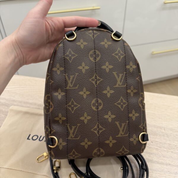 Louis Vuitton Monogram Palm Springs Mini