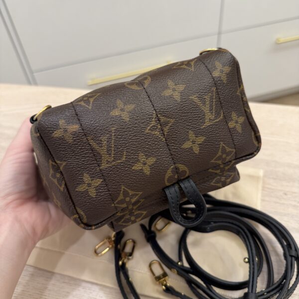 Louis Vuitton Monogram Palm Springs Mini