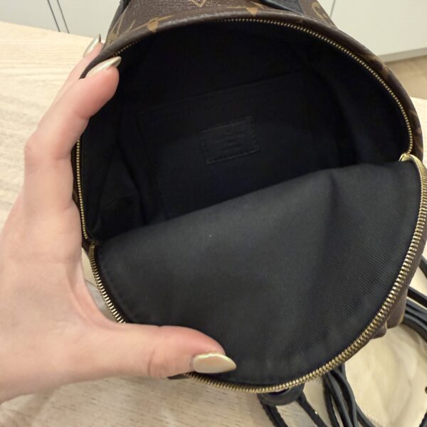 Louis Vuitton Monogram Palm Springs Mini