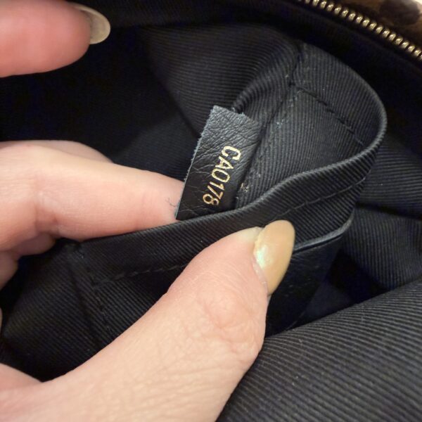 Louis Vuitton Monogram Palm Springs Mini