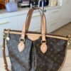 Louis Vuitton Monogram Palermo PM