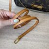Louis Vuitton Monogram Favorite MM