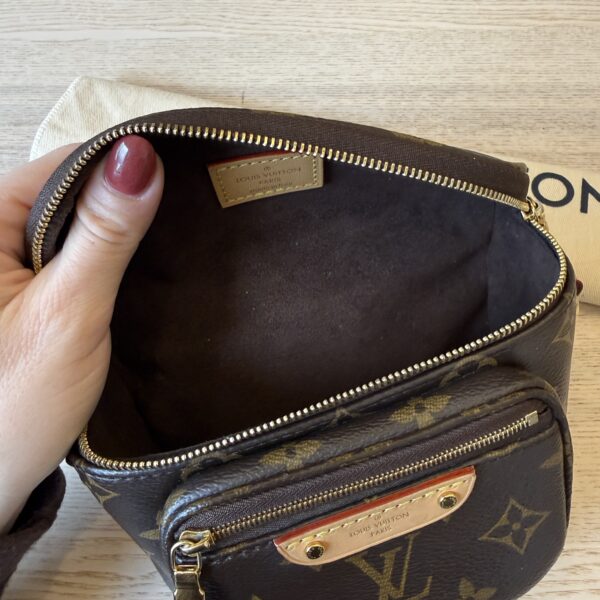 Louis Vuitton Monogram Mini Bumbag