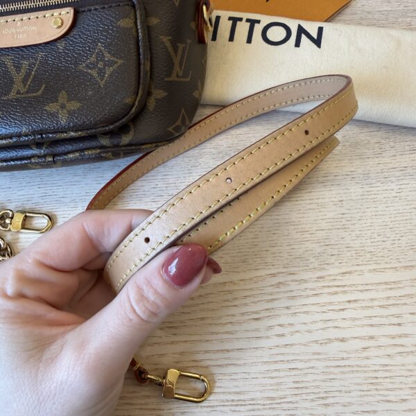 Louis Vuitton Monogram Mini Bumbag