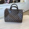Louis Vuitton Damier Ebene Speedy 30 NM