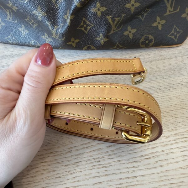 Louis Vuitton Monogram Palermo GM