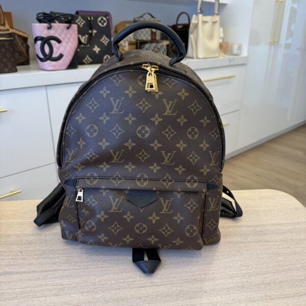 Louis Vuitton Monogram Palm Springs Backpack MM