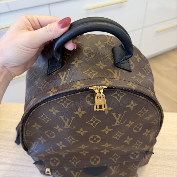 Louis Vuitton Monogram Palm Springs Backpack MM