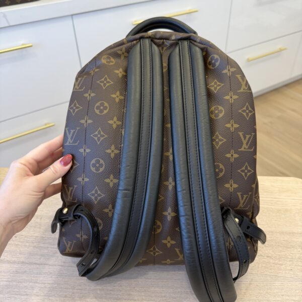 Louis Vuitton Monogram Palm Springs Backpack MM