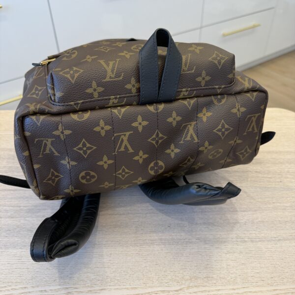 Louis Vuitton Monogram Palm Springs Backpack MM