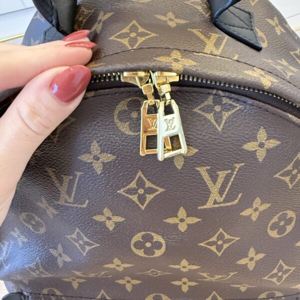 Louis Vuitton Monogram Palm Springs Backpack MM