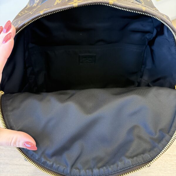 Louis Vuitton Monogram Palm Springs Backpack MM