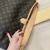 Louis Vuitton Delightful Handbag Monogram Canvas MM