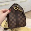 Louis Vuitton Damier Ebene Speedy 25 Bandouliere NM