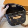 Louis Vuitton Monogram Mini Bumbag
