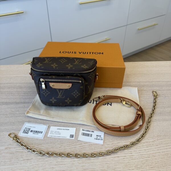 Louis Vuitton Monogram Mini Bumbag