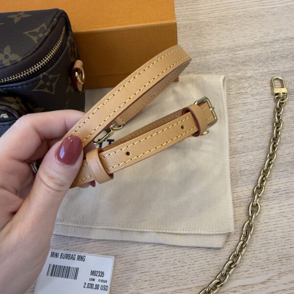 Louis Vuitton Monogram Mini Bumbag