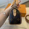 Louis Vuitton Monogram Nano Speedy