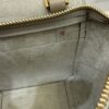 Celine Grained Calfskin Pico Belt Bag Light Taupe