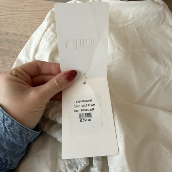 CHLOÉ Charms Hobo Bag in Suede Leather Gold / Khaki