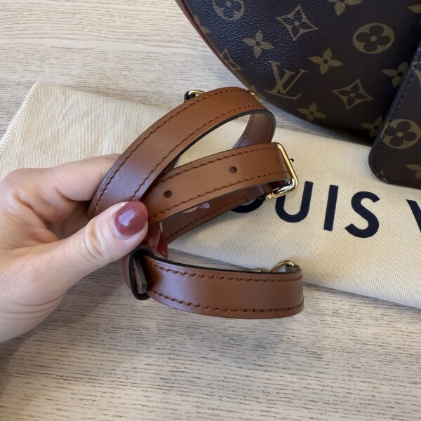 Louis Vuitton Reverse Monogram Loop Hobo