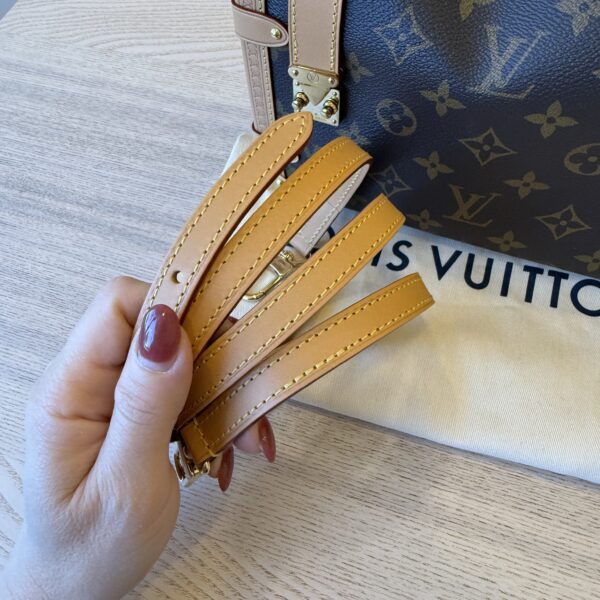 Louis Vuitton Monogram Side Trunk