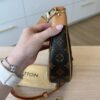 Louis Vuitton Monogram Loop
