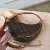 Louis Vuitton Monogram Loop