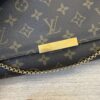 Louis Vuitton Monogram Favorite MM