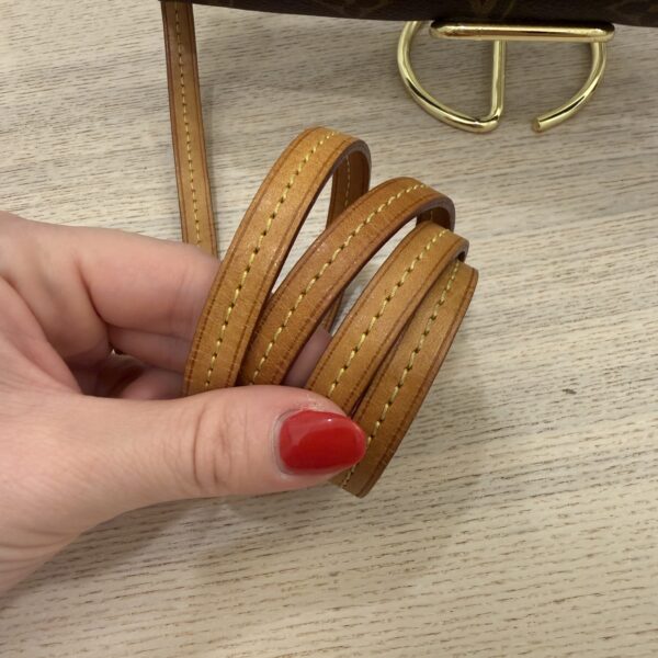Louis Vuitton Monogram Favorite PM