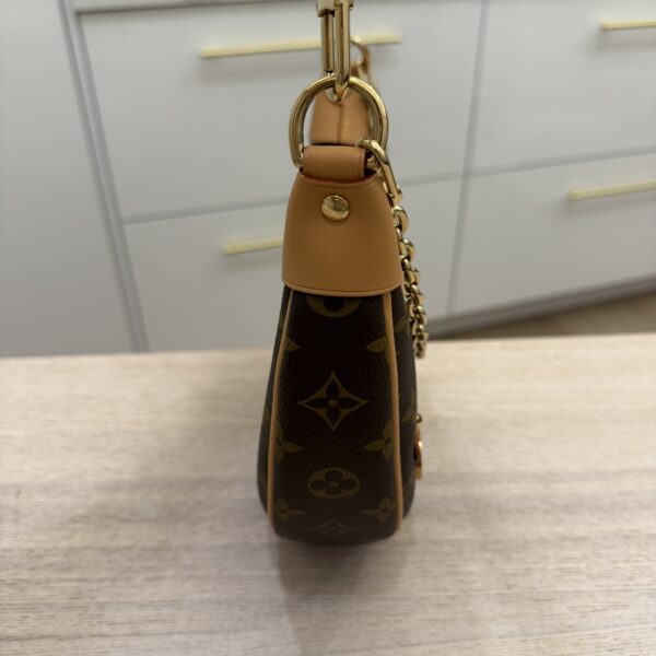 Louis Vuitton Monogram Loop