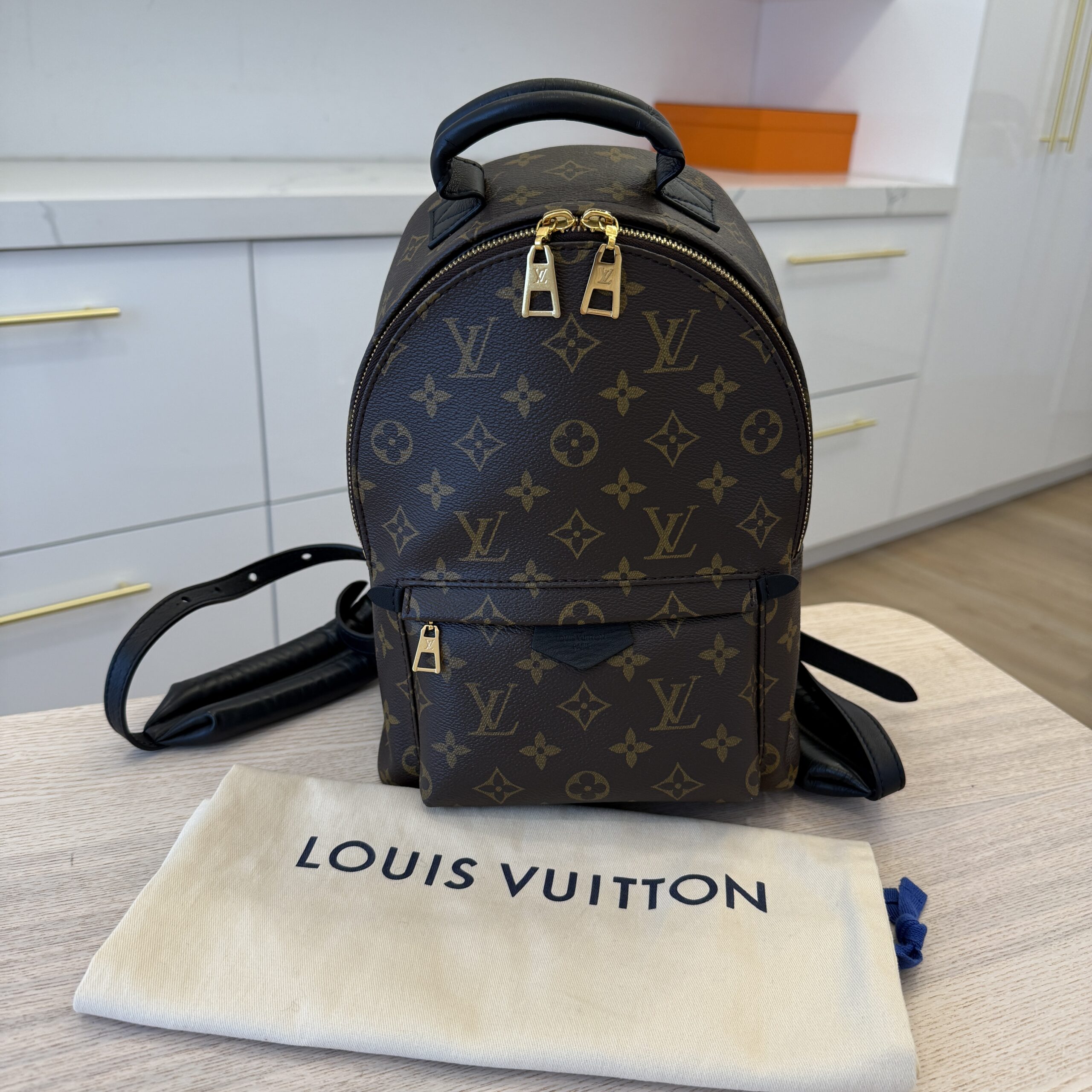 Louis Vuitton Monogram Palm Springs Backpack PM NM