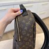 Louis Vuitton Monogram Palm Springs Backpack PM NM