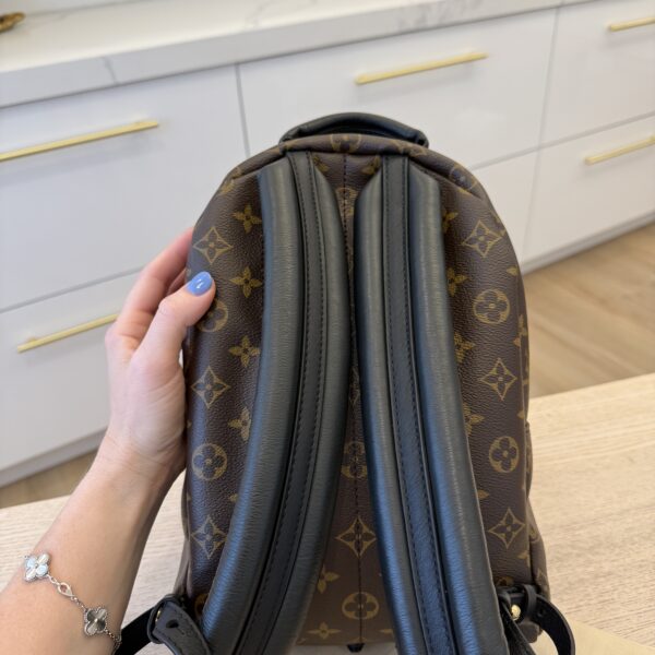 Louis Vuitton Monogram Palm Springs Backpack PM NM