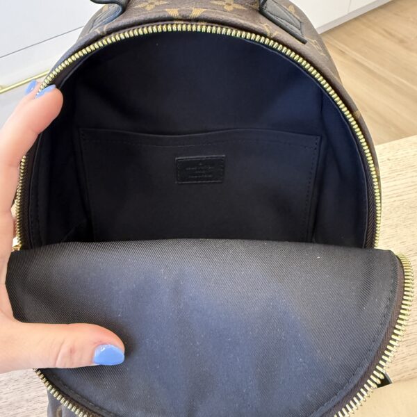 Louis Vuitton Monogram Palm Springs Backpack PM NM