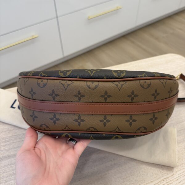 Louis Vuitton Monogram Loop