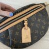 Louis Vuitton Monogram High Rise Bumbag