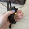 Louis Vuitton Damier Ebene Eva
