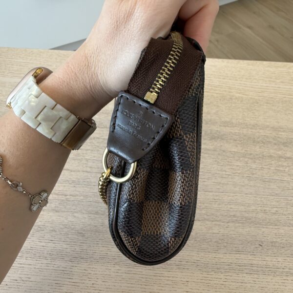 Louis Vuitton Damier Ebene Eva