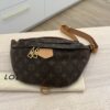 Louis Vuitton Monogram Bumbag
