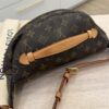 Louis Vuitton Monogram Bumbag