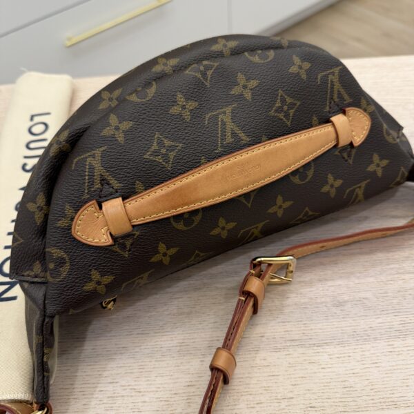 Louis Vuitton Monogram Bumbag
