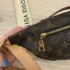 Louis Vuitton Monogram Bumbag