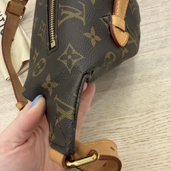 Louis Vuitton Monogram Bumbag