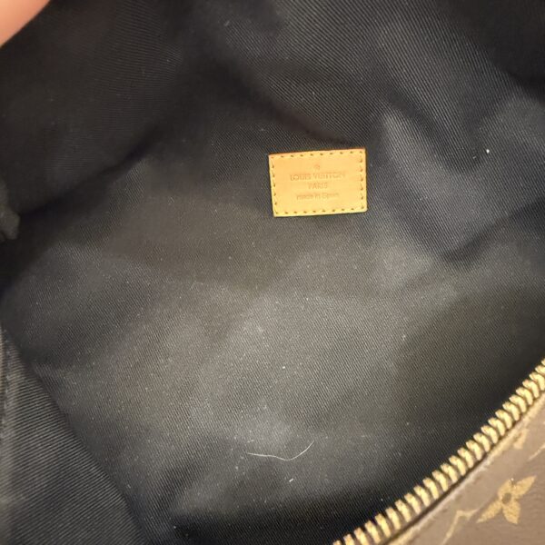 Louis Vuitton Monogram Bumbag