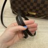 Louis Vuitton Damier Ebene Favorite MM