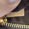 Louis Vuitton Monogram Pochette Metis