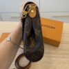 Louis Vuitton Monogram Favorite MM