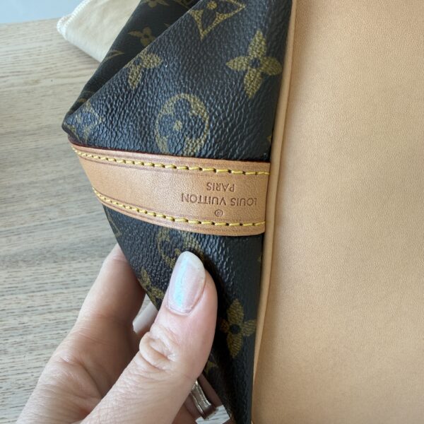Louis Vuitton Monogram Petit Noe